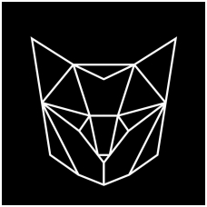 50745173 2151255454897681 1435549886194909184 o-1