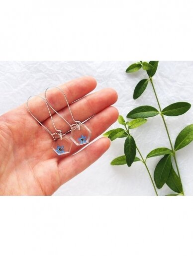 Earrings | Forget me not 2