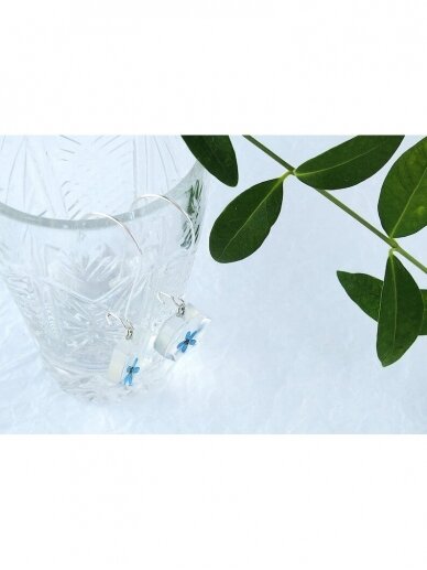 Earrings | Forget me not 3