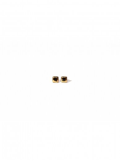 Auskarai | Glossy Boxes Black