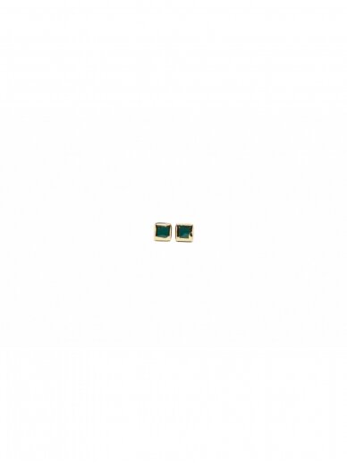 Auskarai | Glossy Boxes Green 2