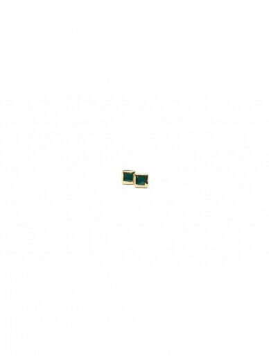 Auskarai | Glossy Boxes Green