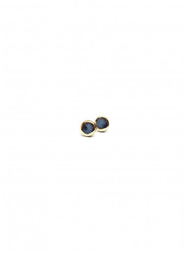 Earrings |Golden Aureole Glossy Small 2