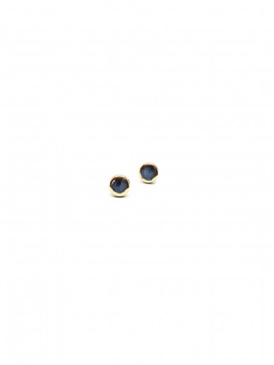 Earrings |Golden Aureole Glossy Small 4