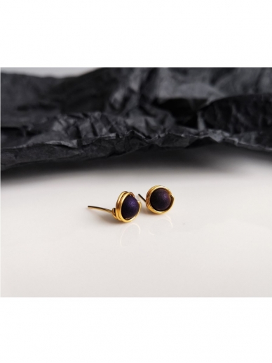 Erni Design earrings