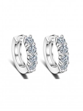 Earrings |  Shiny