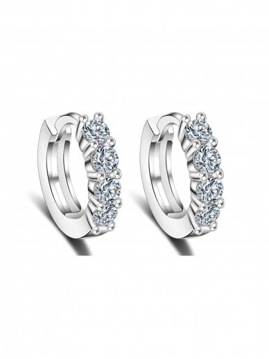 Earrings |  Shiny