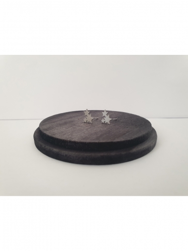 Earrings | STARS