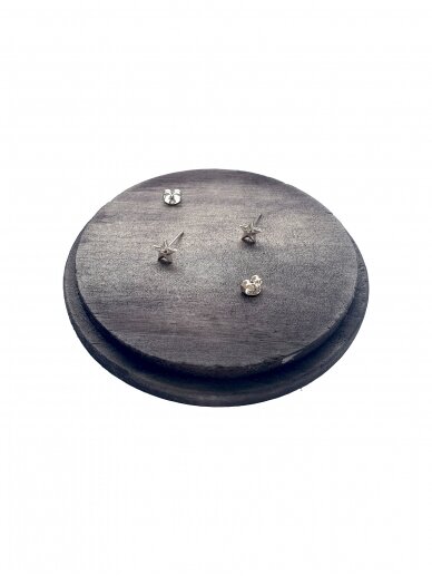 Earrings | STAR 2
