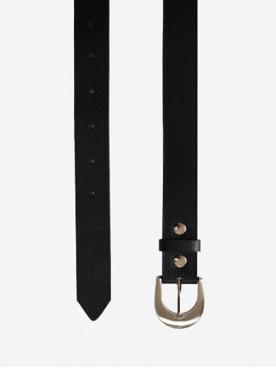lava flow belt Fossa