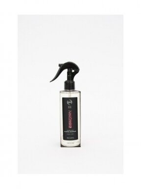 ODORO ambient spray | BLACKCURRANT