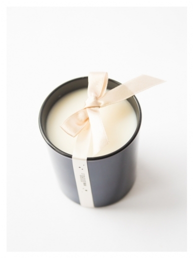 Odoro candle RASPBERRIES 2