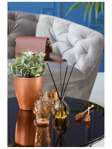 ODORO home odor AMBRA 3