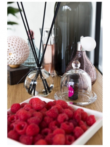 ODOR home odor RASPBERRY 4