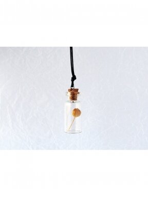 Necklace | LINUM