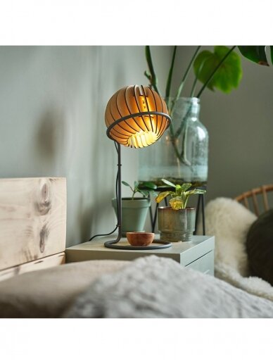 Atmosphere desk lamp 2