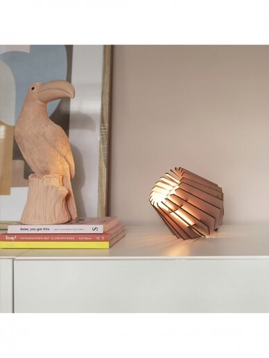 Mini-spot table lamp 11