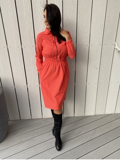Dress | ZIP 6